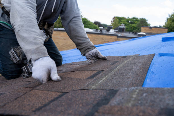 Residential Roof Replacement in Newellton, LA